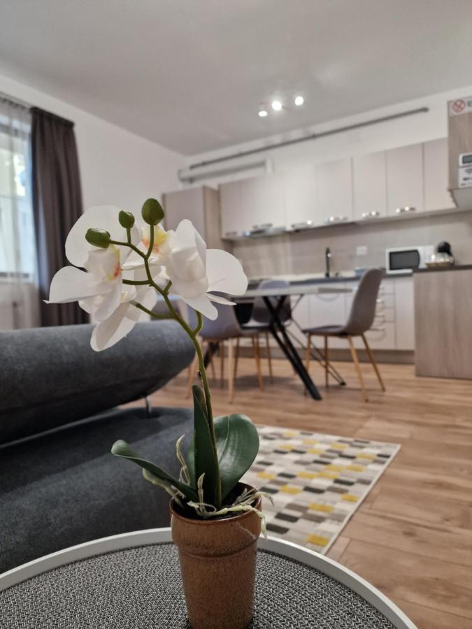 Vic Apartament Drobeta Turnu Severin Exteriör bild