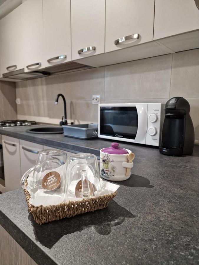 Vic Apartament Drobeta Turnu Severin Exteriör bild