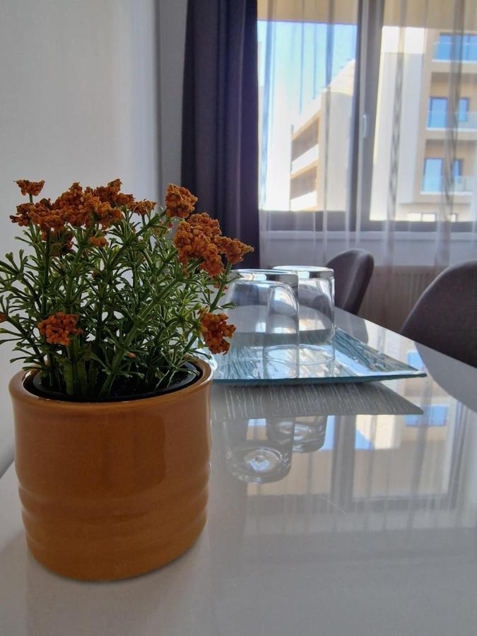 Vic Apartament Drobeta Turnu Severin Exteriör bild